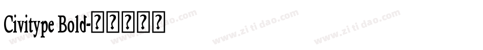 Civitype Bold字体转换